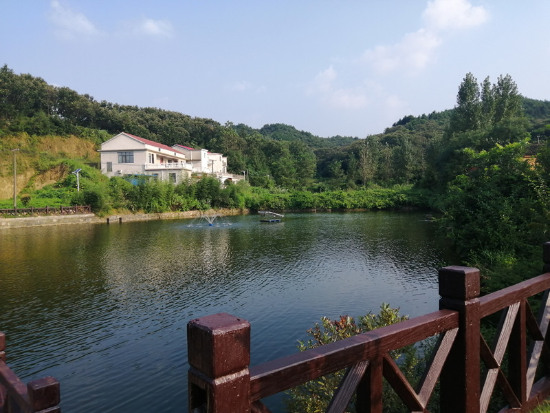 新县李寺新村水生态修复