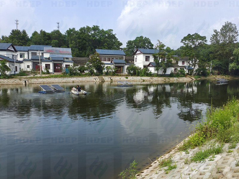 罗山坑塘水生态修复