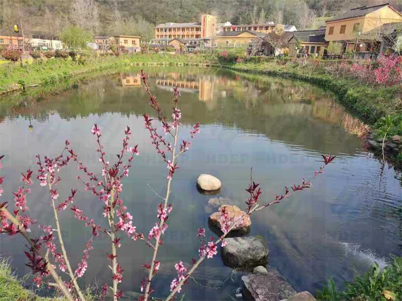 新县坑塘水生态修复